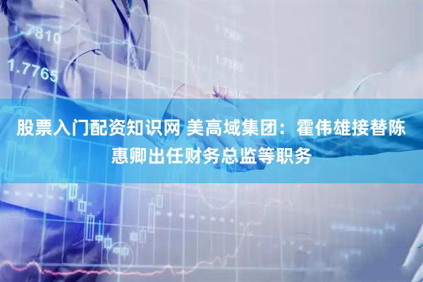 股票入门配资知识网 美高域集团：霍伟雄接替陈惠卿出任财务总监等职务